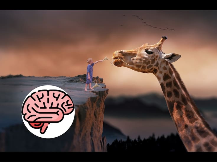 4 Descubrimientos sobre los sueños que desafían nuestra noción de la realidad