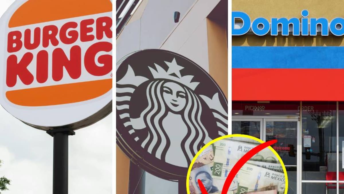 ¿Qué pasó con Alsea? Operadora de Starbucks y Domino’s redujo su utilidad 65.7% durante el primer trimestre de 2026, pese a ingresos por más de 20 mil millones de pesos