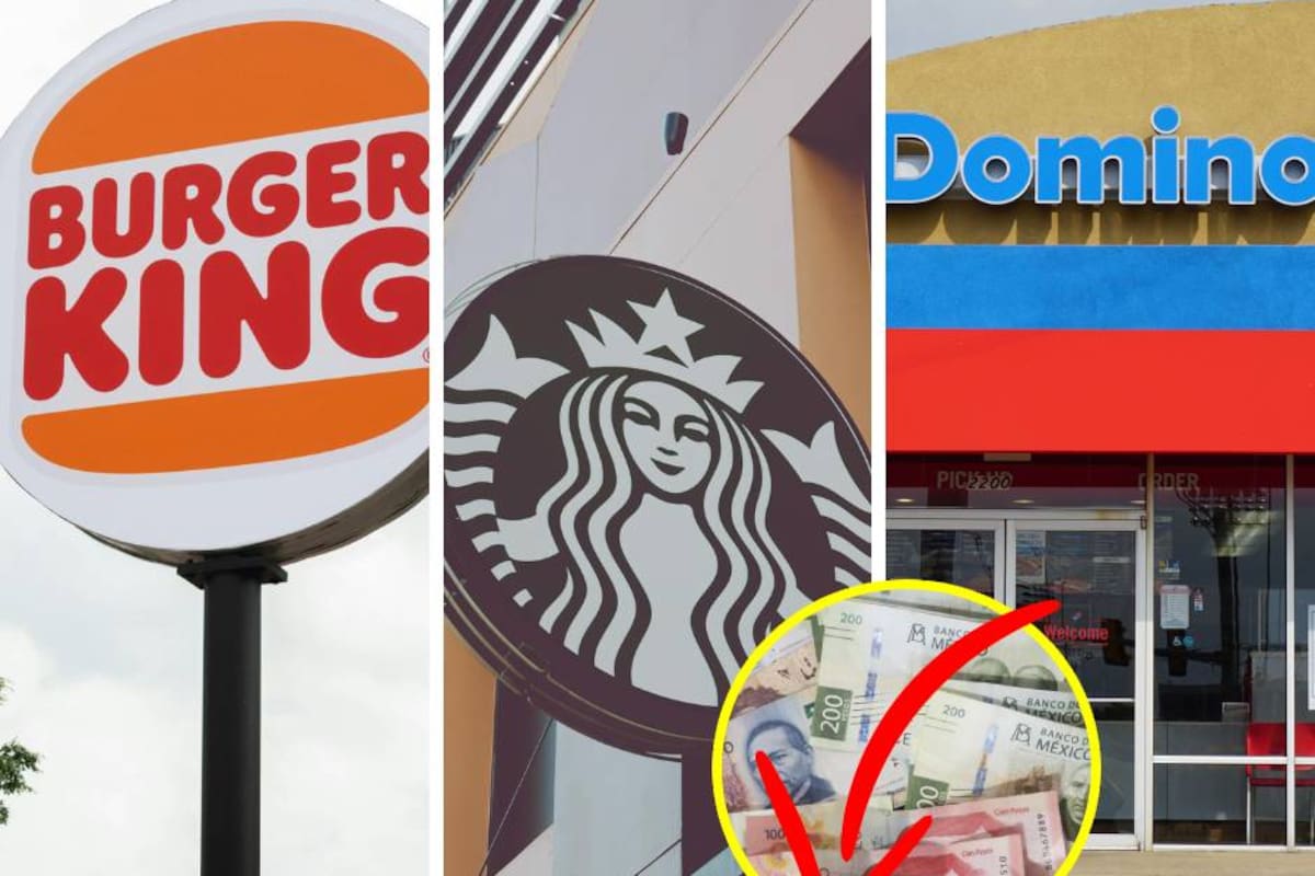 ¿Qué pasó con Alsea? Operadora de Starbucks y Domino’s redujo su utilidad 65.7% durante el primer trimestre de 2026, pese a ingresos por más de 20 mil millones de pesos