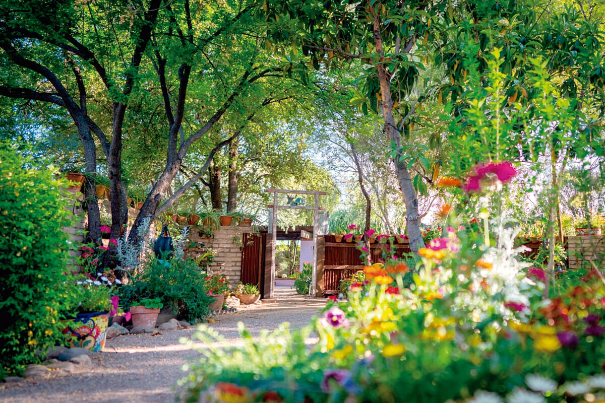 Tucson Botanical Gardens: el oasis perfecto para disfrutar el verano en Arizona