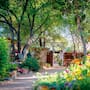 Tucson Botanical Gardens: el oasis perfecto para disfrutar el verano en Arizona