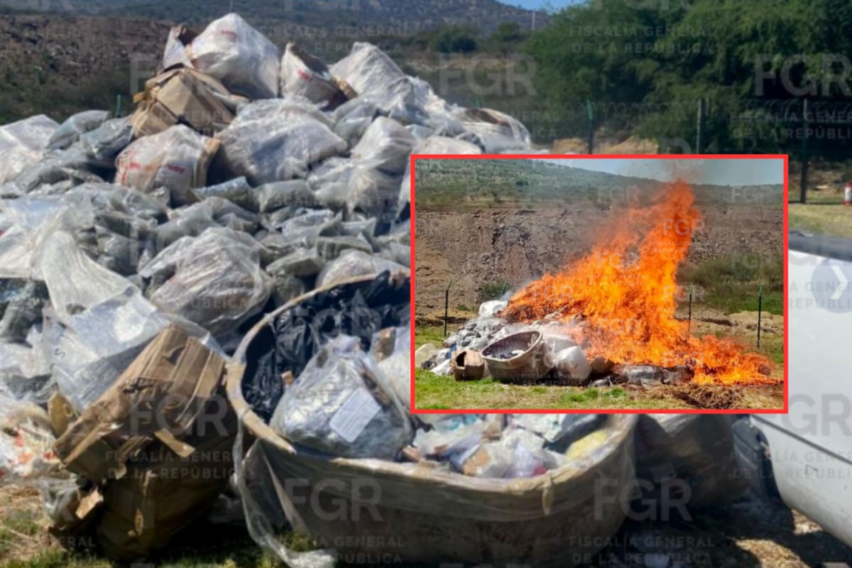 FGR destruye más de 3 toneladas de droga y 2 mil litros de metanfetamina líquida en Michoacán