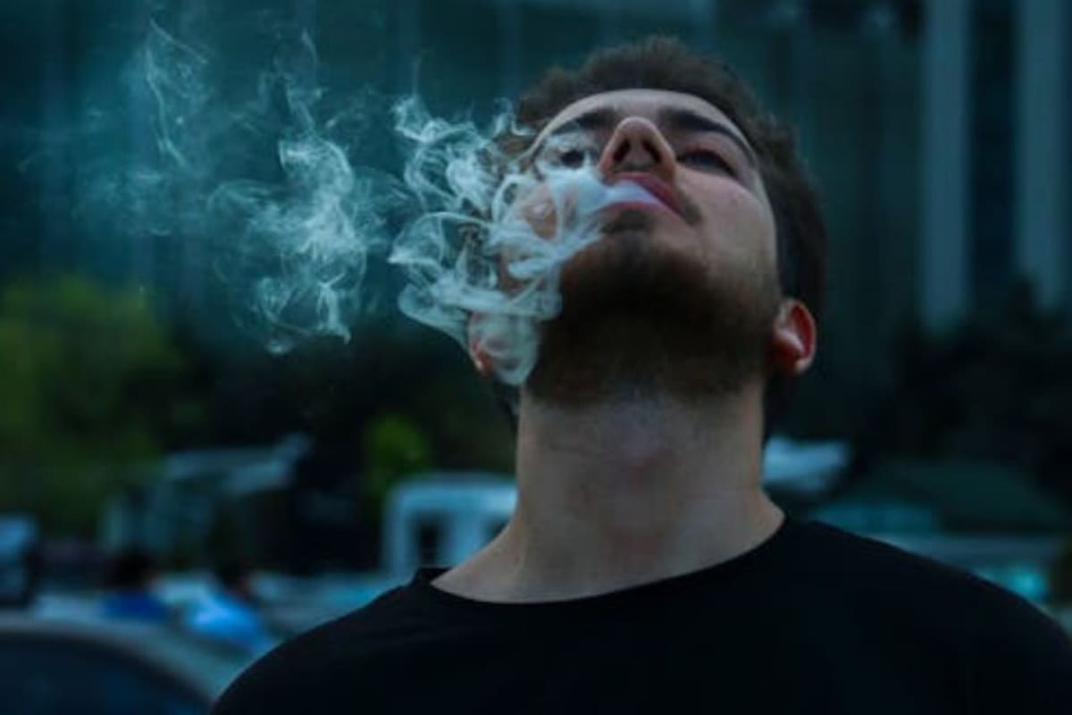 Científicos advierten que consumir cannabis en la adolescencia provoca menor desarrollo de memoria y pensamiento