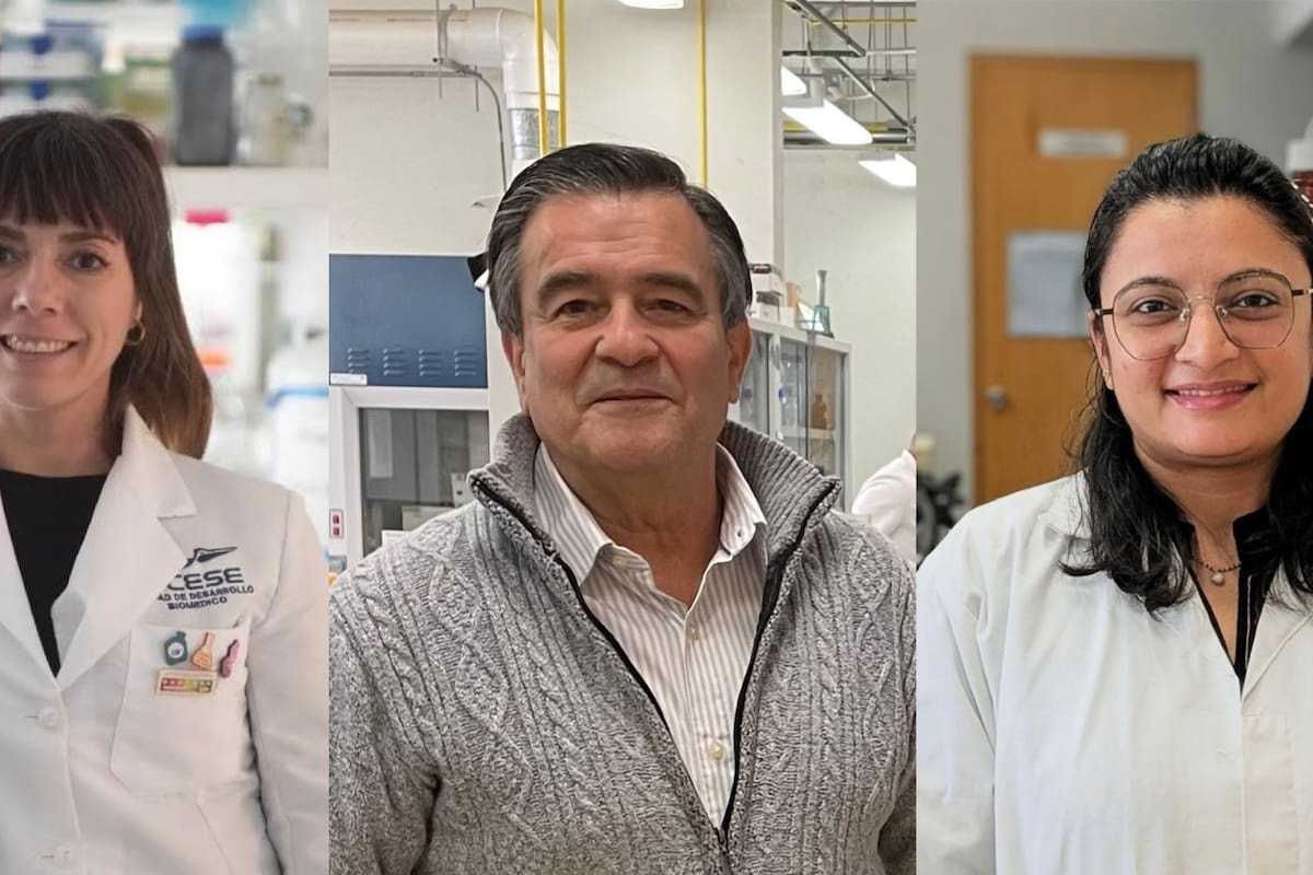 IMPI otorga patente a Cicese y UNAM por moléculas terapéuticas
