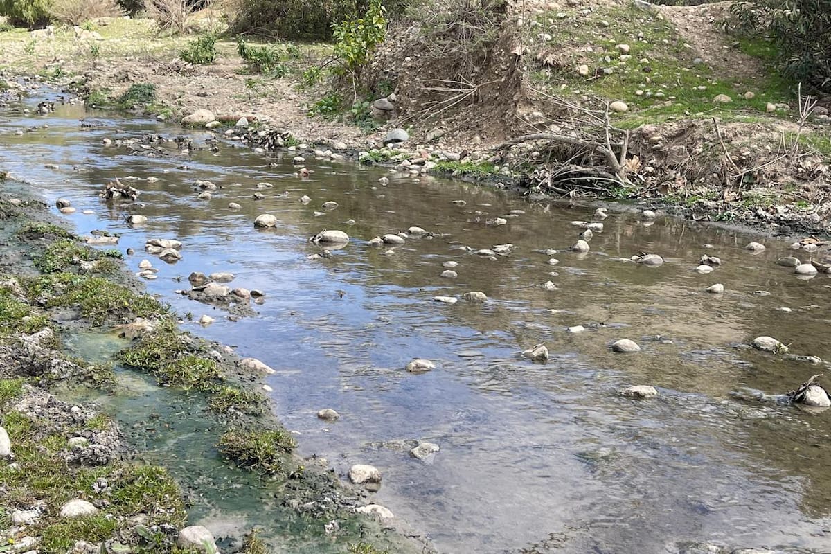 Contaminación en arroyo del Cañón Rosarito podría ser por descargas clandestinas