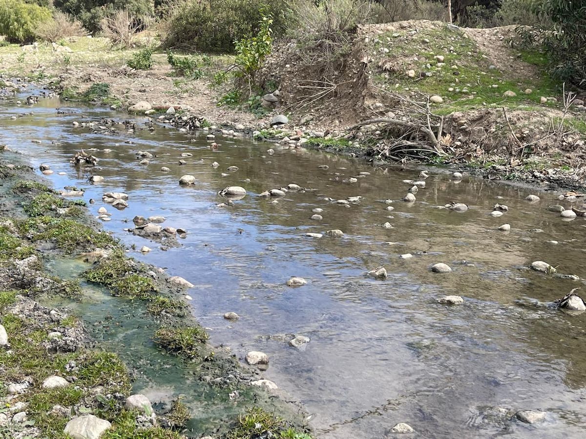 El 76 por ciento del agua concesionada en México se destina al sector agrícola, mientras que solo el 5 por ciento es usado por la industria autoabastecida.
