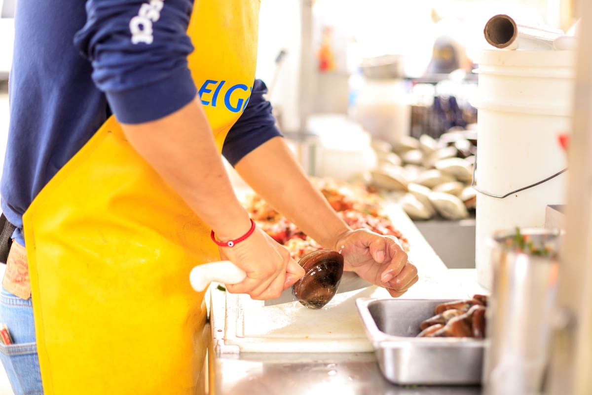 Hagamos Consciencia llama a verificar el estado de los mariscos que se consuman