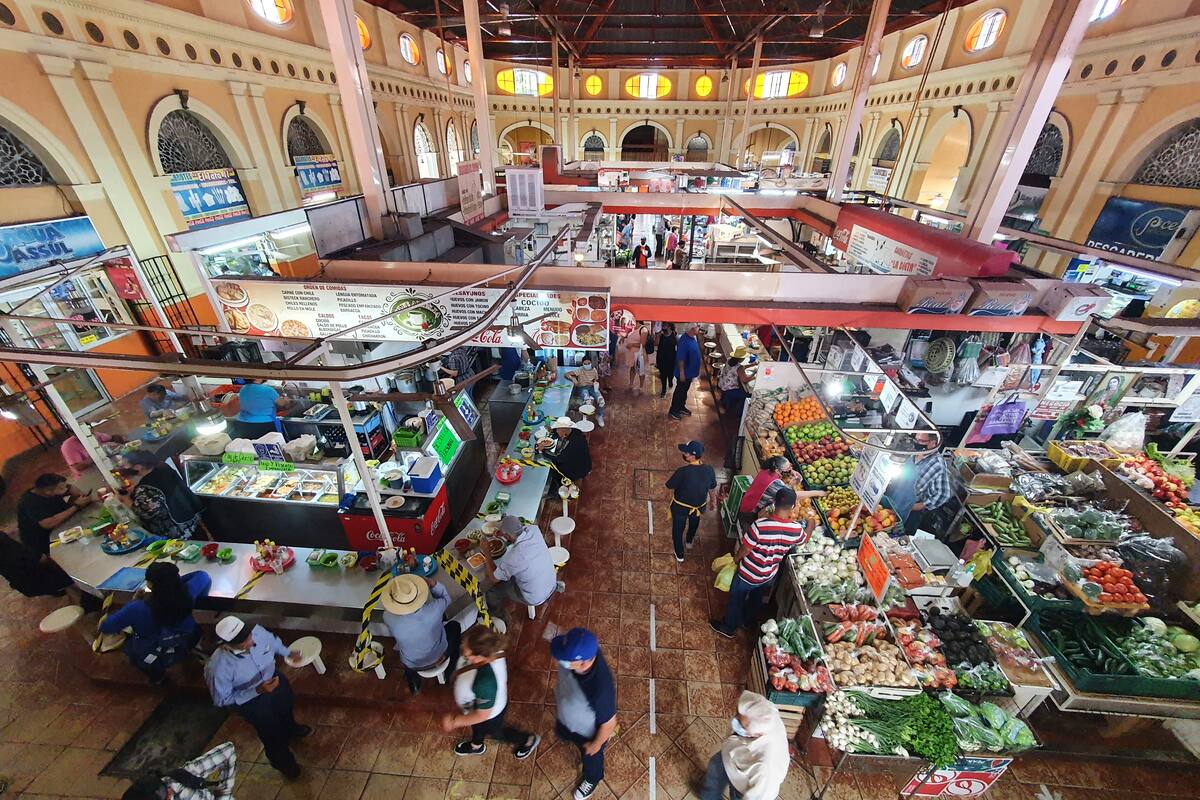 Mercados, grandes sobrevivientes de la pandemia