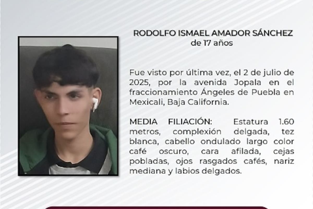 Pesquisa de Rodolfo Ismael Amador Sánchez