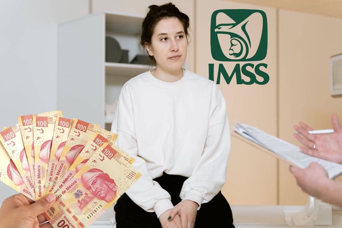 Costos del IMSS 2024: Éste es el precio de afiliarte y todo lo que necesitas saber