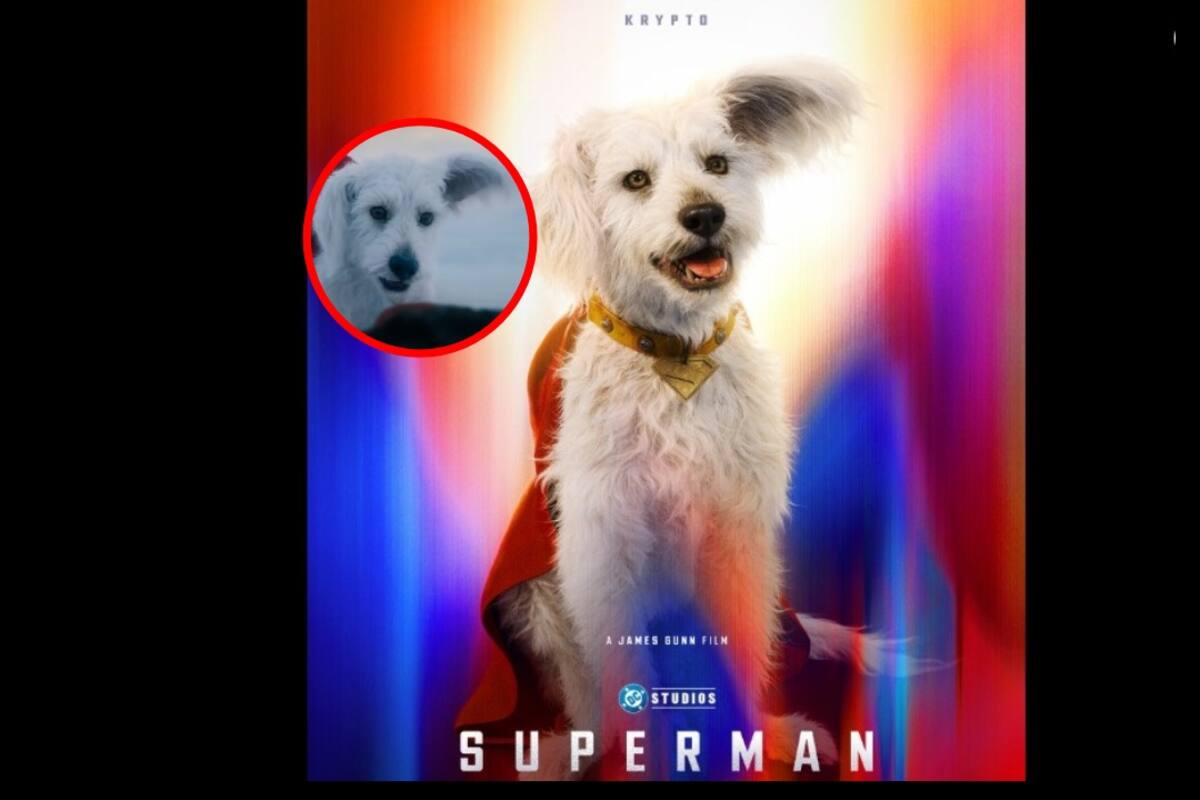 ¿Cuáles son los poderes de Krypto, el fiel compañero de Superman?