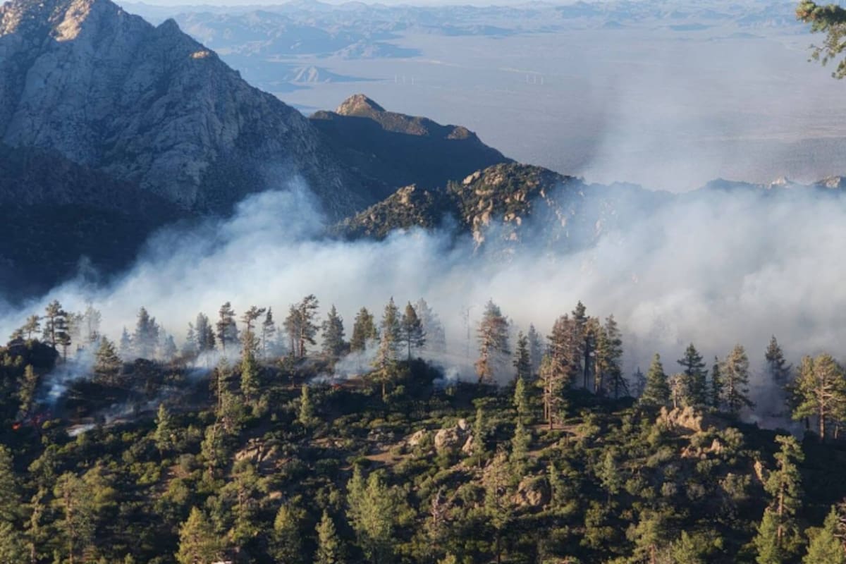 Baja California suma 45 incendios forestales en 2026; Ensenada y Tecate concentran el mayor daño