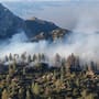 Baja California suma 45 incendios forestales en 2026; Ensenada y Tecate concentran el mayor daño