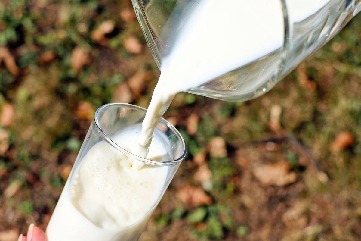 Yeji de ITZY cantante de K-Pop brilla con la playera del América en portada de revista