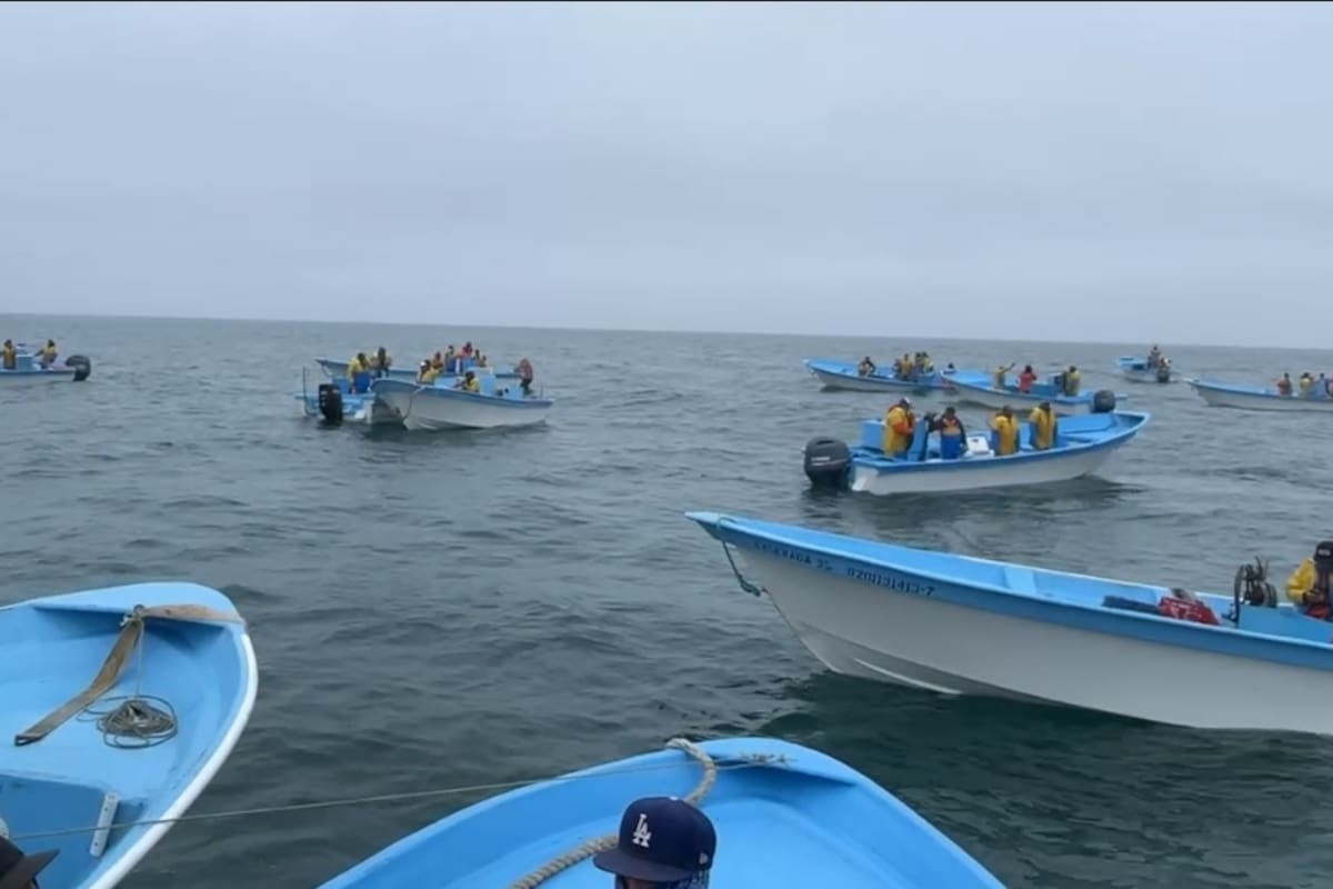 Inicia temporada de langosta con conflictos entre pescadores