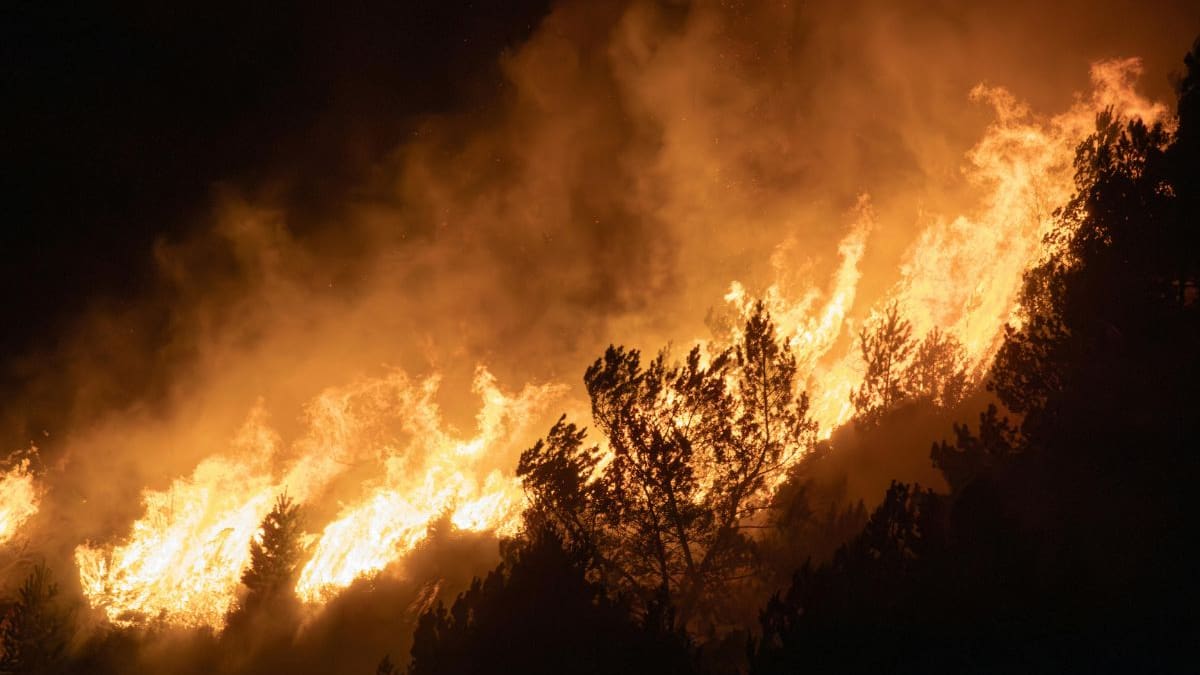 Estado de emergencia en Nevada por devastador incendio forestal