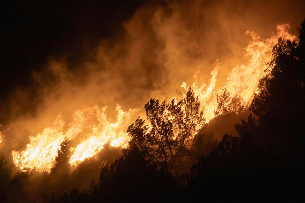 Incendio forestal obliga a evacuar miles de viviendas en Reno, Nevada