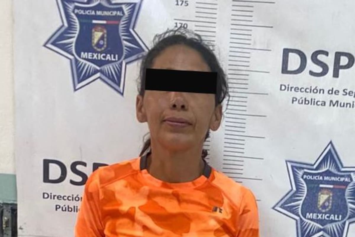 Pateó a una cachorra y la dejó caer al suelo dos veces; detienen a mujer por maltrato animal