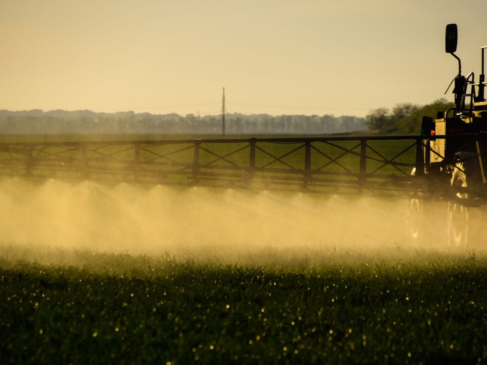 El glifosato es ampliamente usado en campos de México. | Crédito: Canva