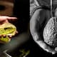 ¿El aguacate es un fósil? La historia detrás de uno de los frutos más antiguos