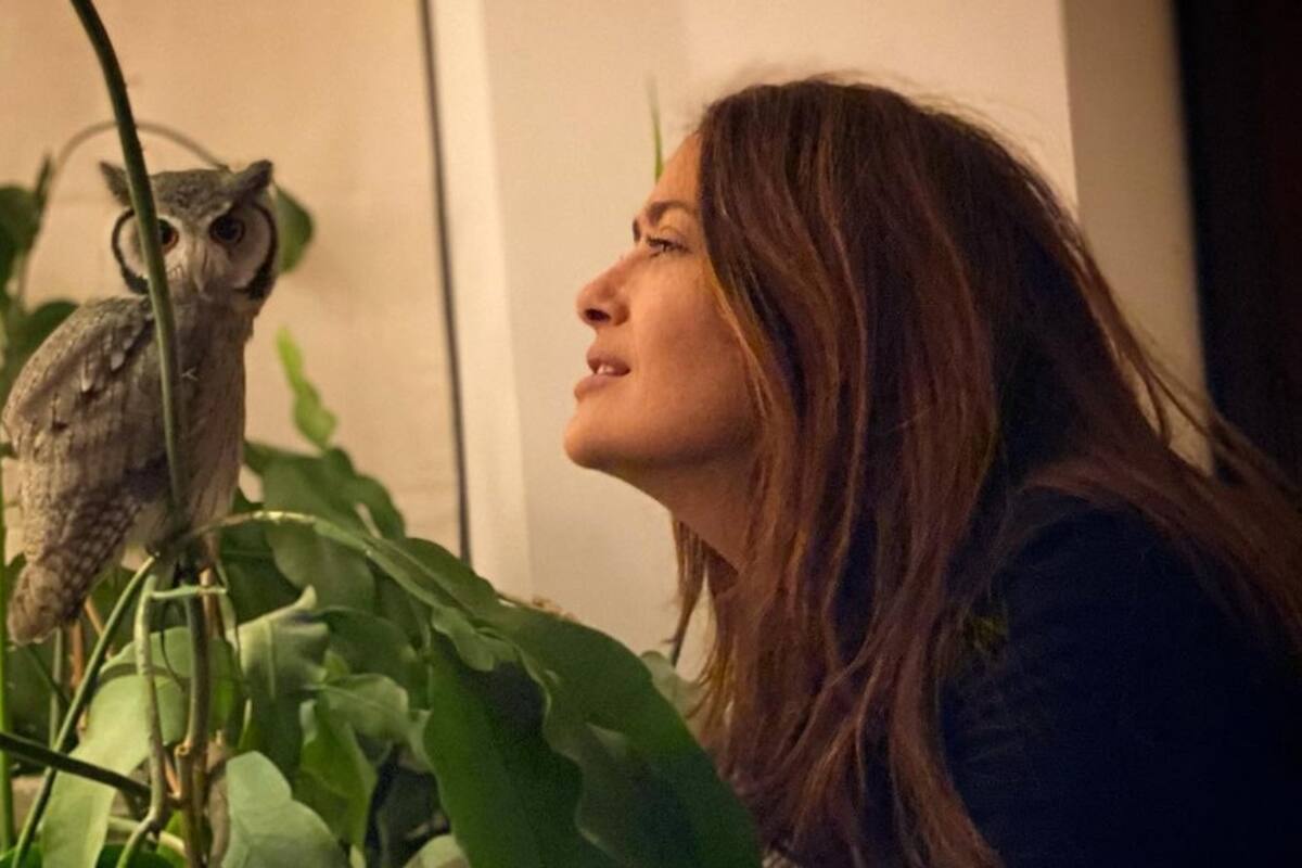 Salma Hayek reveló que su búho vomitó una bola de pelos de rata en la cabeza de Harry Styles