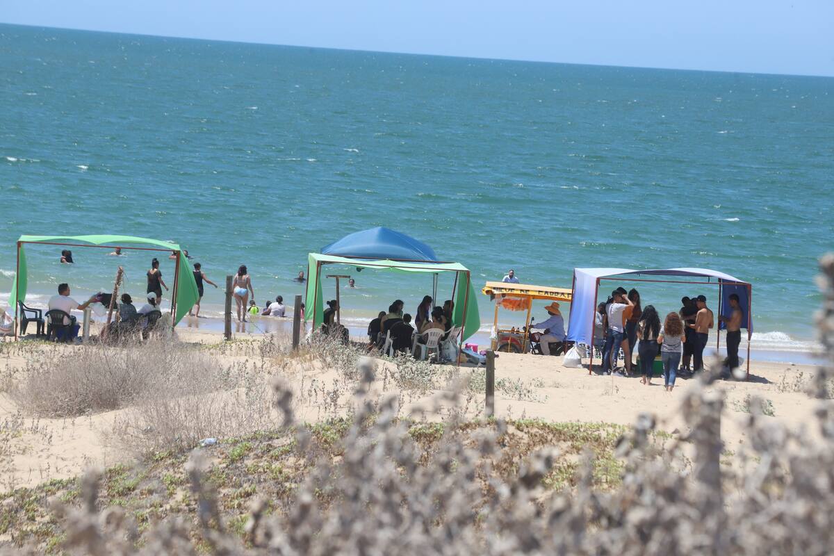 Piden regular carpas en Bahía de Kino; señalan son ilegales