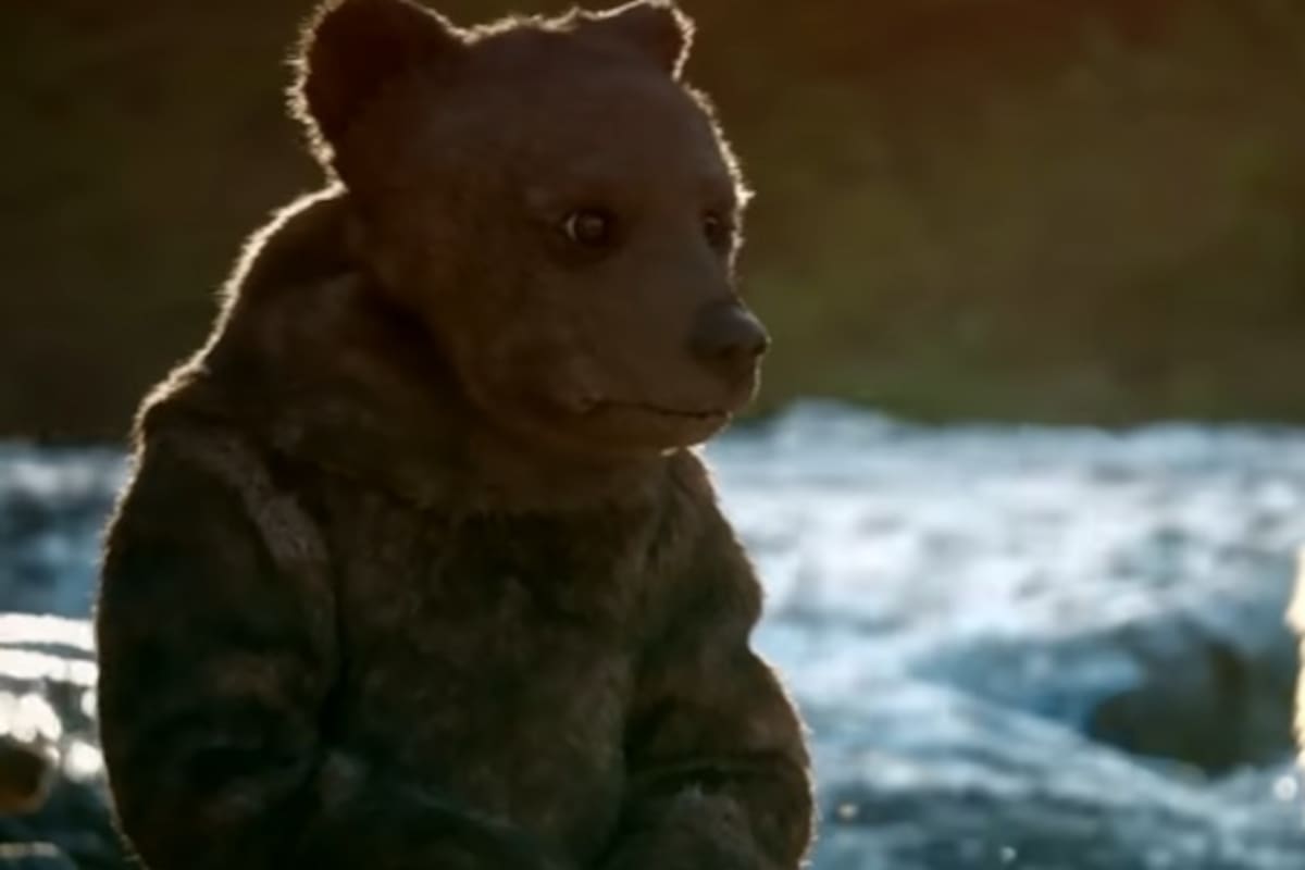 Esto pasa si disfrazas una cámara de oso ante la llegada de una manada hambrienta