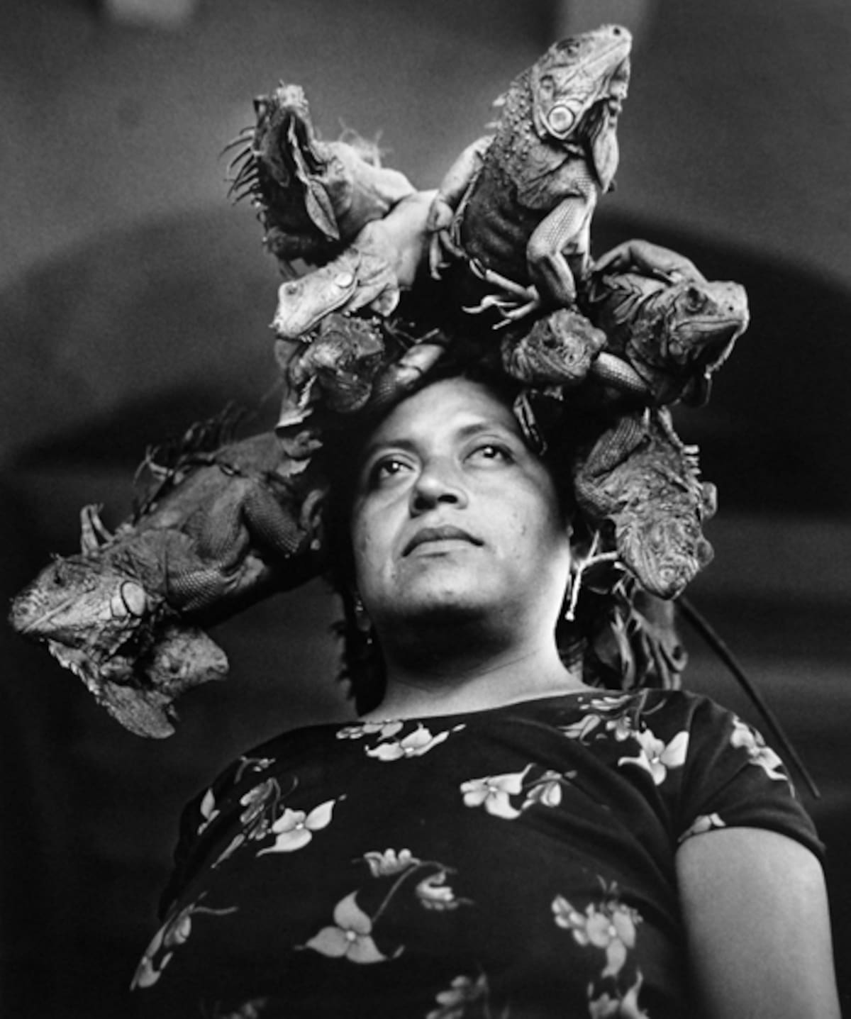 Nuestra Señora de las Iguanas, fotografía del libro "Juchitán de las mujeres"/Foto: Graciela Iturbide.