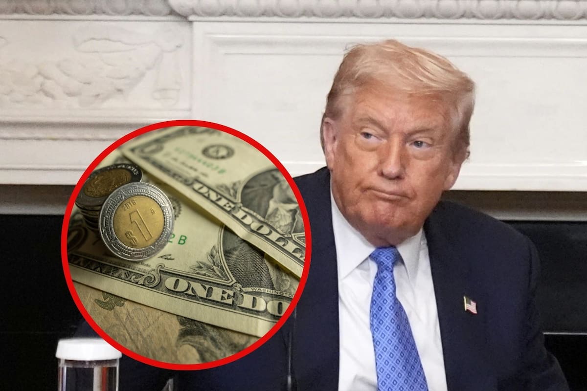 Precio del dólar sube pese a ganancias del peso mexicano y así cotiza el tipo de cambio este 11 de agosto del 2025