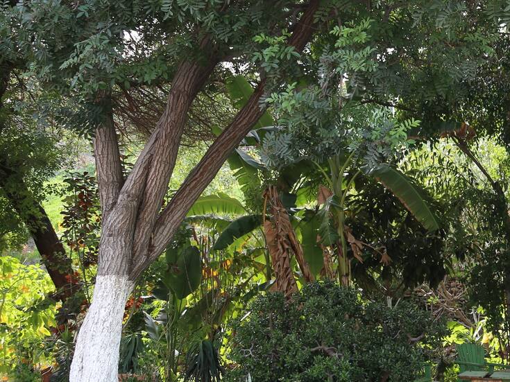 Requiere Tij 224 parques y áreas verdes