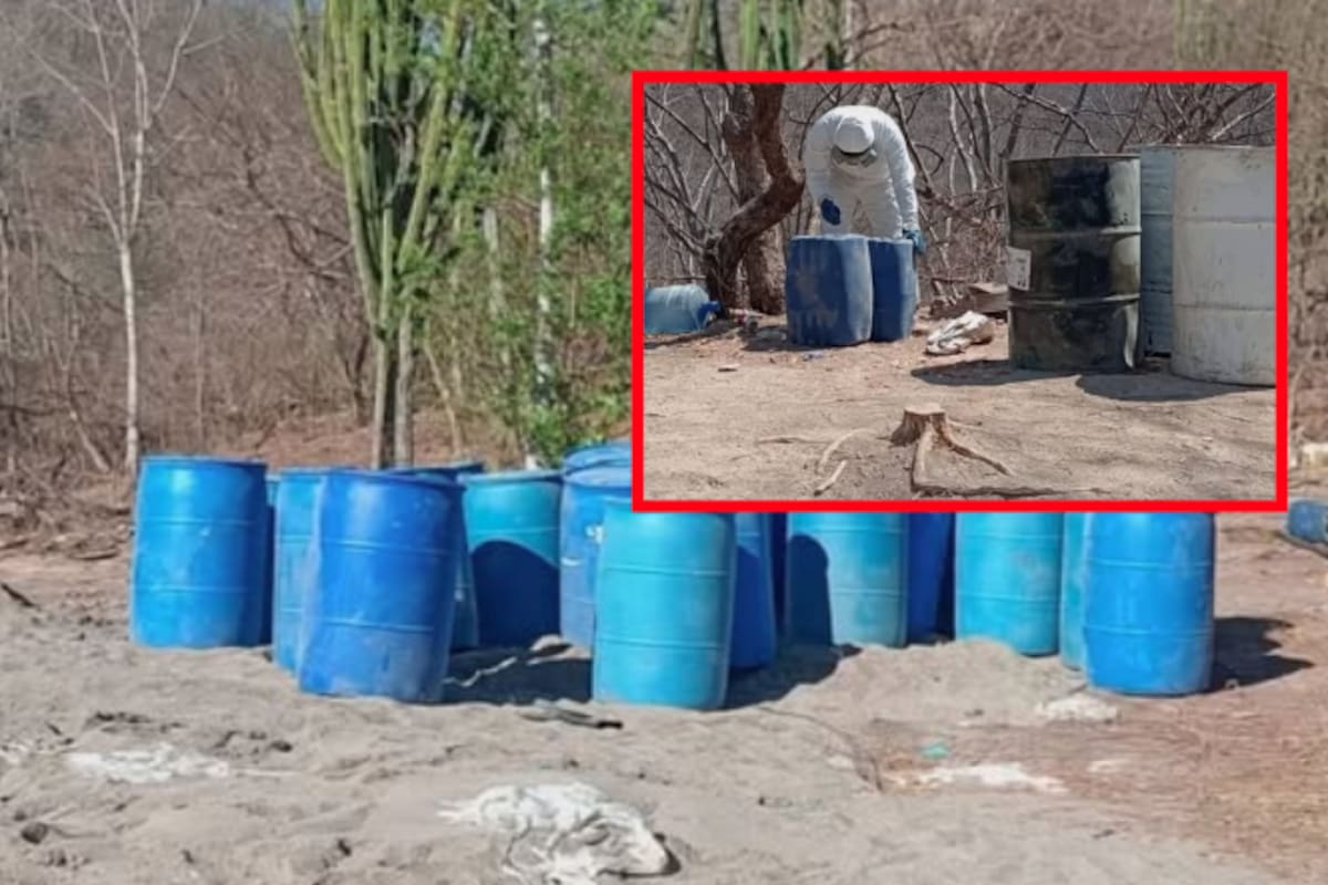 Aseguran en Culiacán cuatro centros químicos y dos secaderos de marihuana en operativo federal