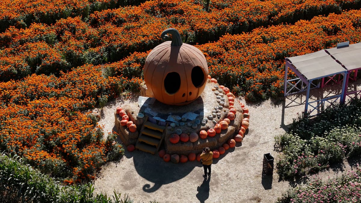 Foto: Leonardo González