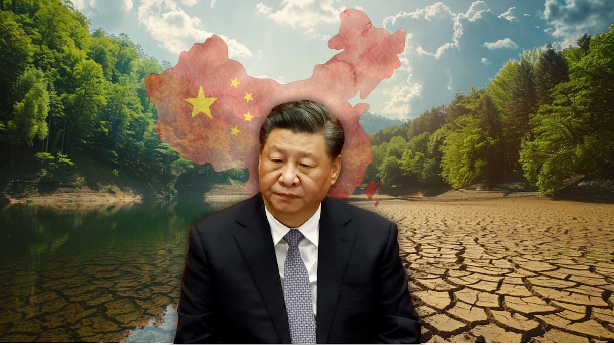 China plantó miles de millones de árboles para frenar el avance del desierto, pero ahora enfrenta un nuevo desafío: cambios en el ciclo del agua que generan sequía en regiones clave del país