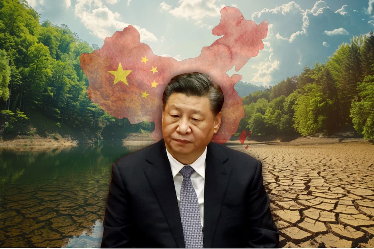 China plantó miles de millones de árboles para frenar el avance del desierto, pero ahora enfrenta un nuevo desafío: cambios en el ciclo del agua que generan sequía en regiones clave del país