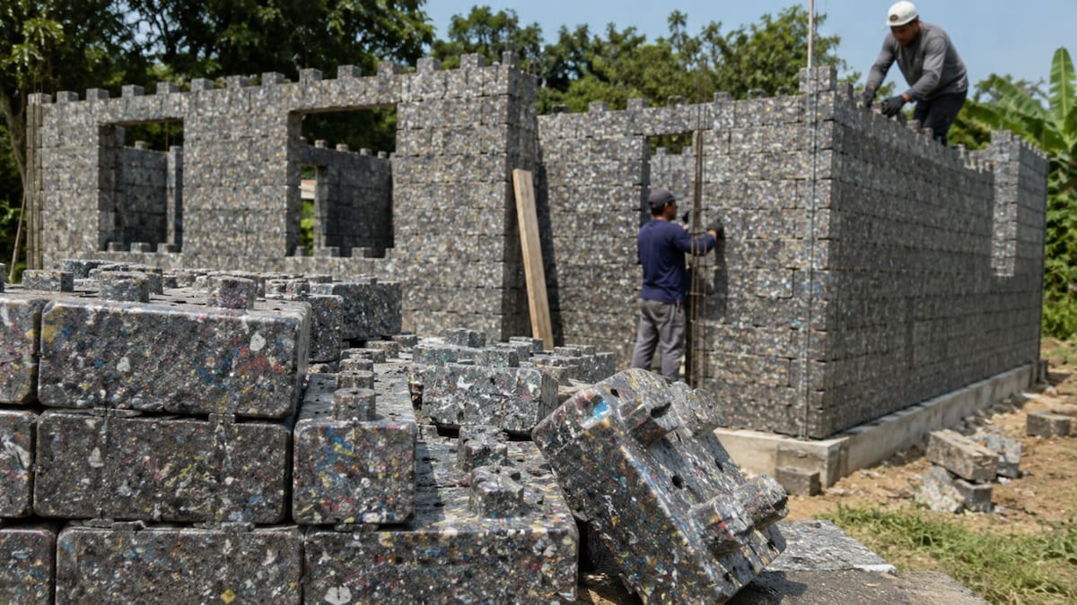 Bloques de plástico reciclado utilizados para construir viviendas modulares.