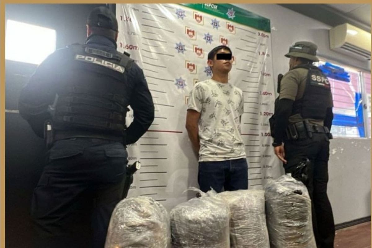 Decomisan casi 83 kilogramos de mariguana