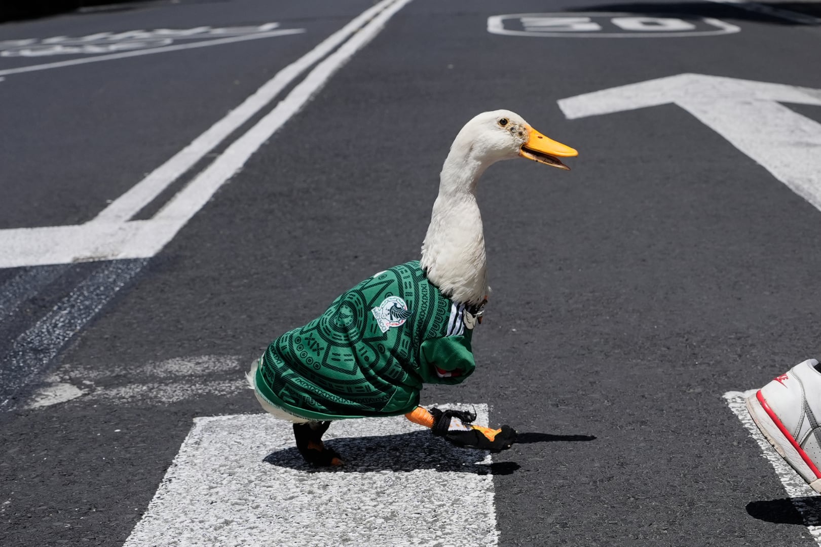 El “Pato Merlín”, acompañado por su familia, se volvió viral y quedó en el centro de una disputa por el registro de su imagen como marca. (AP Foto/Marco Ugarte)