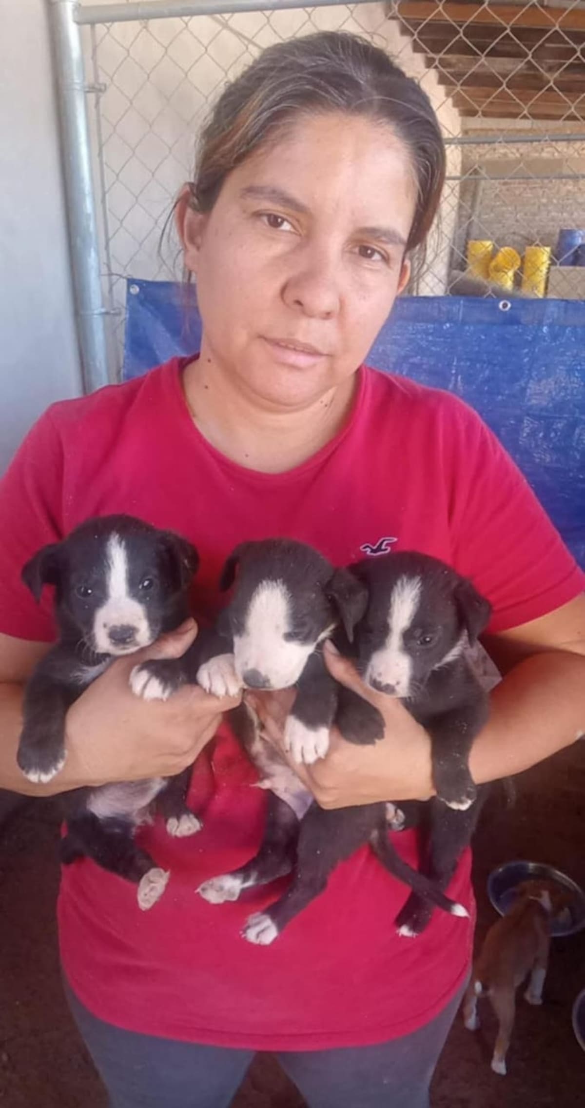 Foto: Gina Rodríguez.