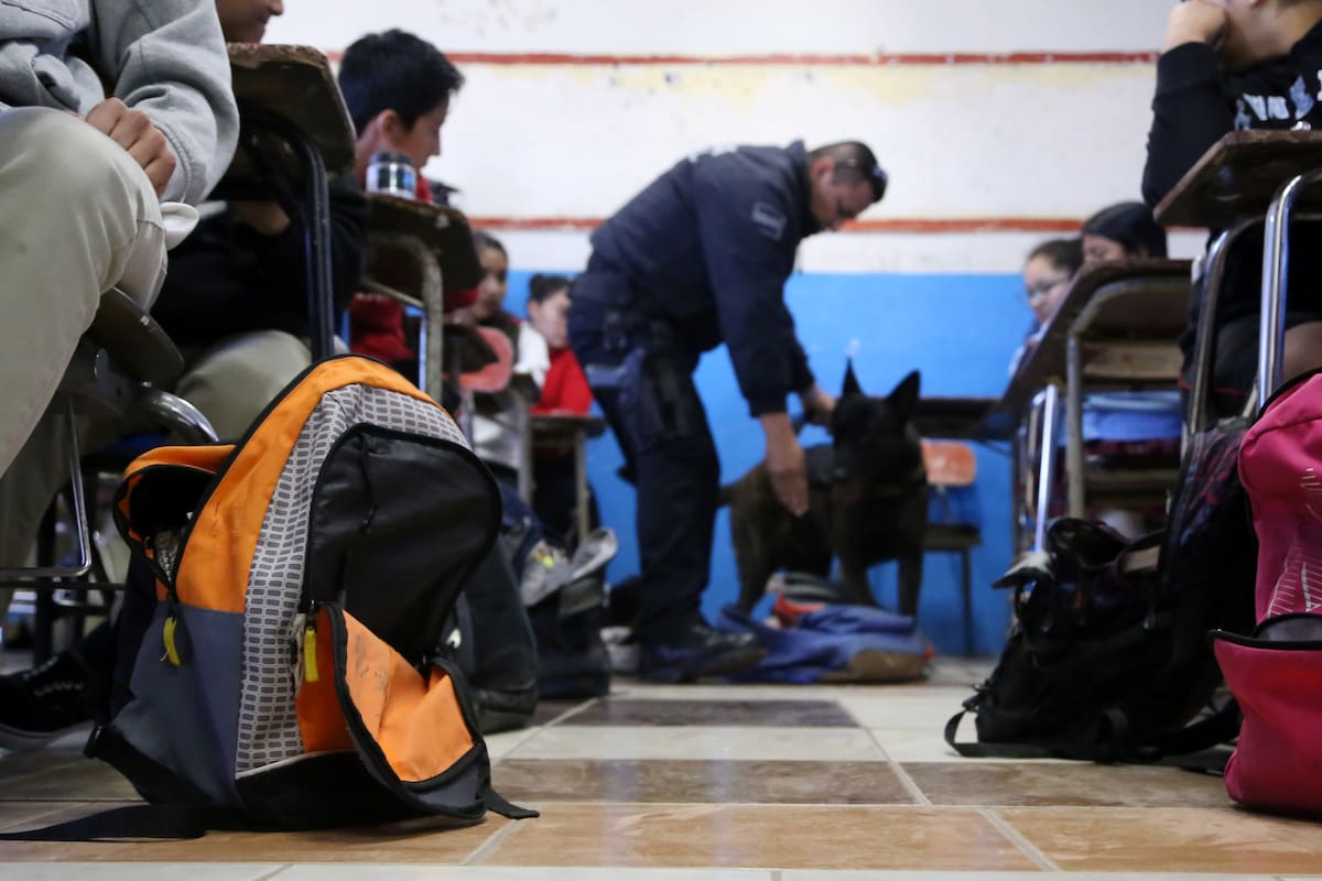 Siguen buscando formas para regresar “Operativo Mochila”