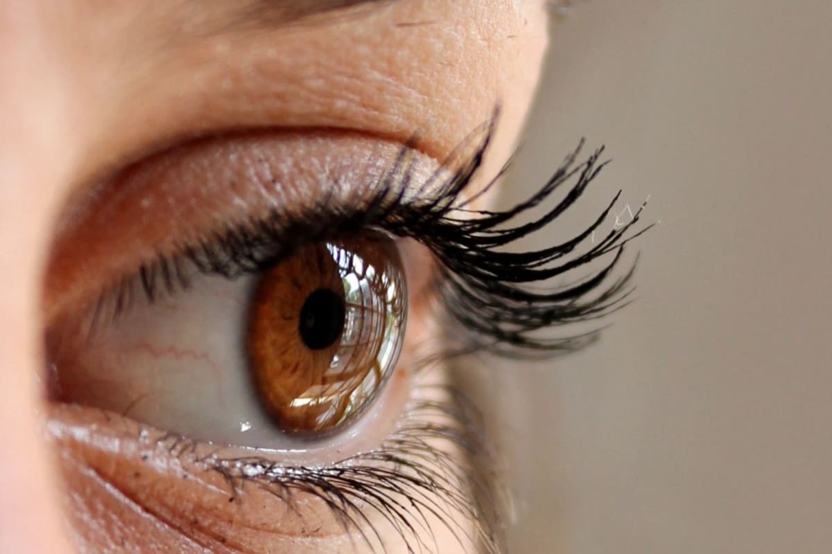 Pestañas largas y curvadas: tips para conseguirlas sin extensiones
