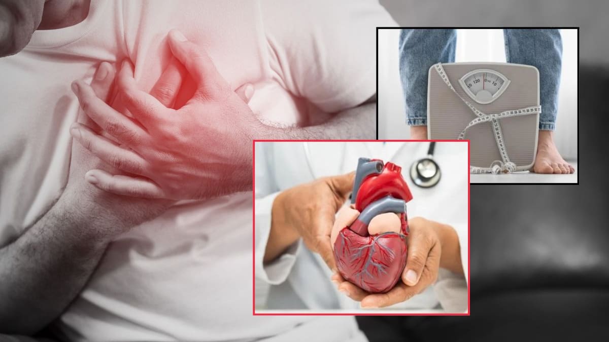 Investigación señala que la grasa en el abdomen y la inflamación del cuerpo podrían explicar por qué algunas personas con peso normal desarrollan problemas del corazón