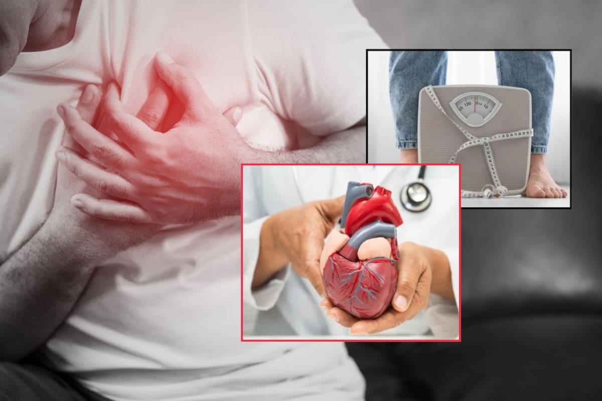 Investigación señala que la grasa en el abdomen y la inflamación del cuerpo podrían explicar por qué algunas personas con peso normal desarrollan problemas del corazón