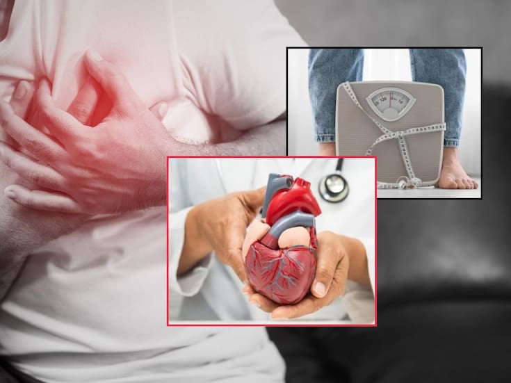 Investigación señala que la grasa en el abdomen y la inflamación del cuerpo podrían explicar por qué algunas personas con peso normal desarrollan problemas del corazón