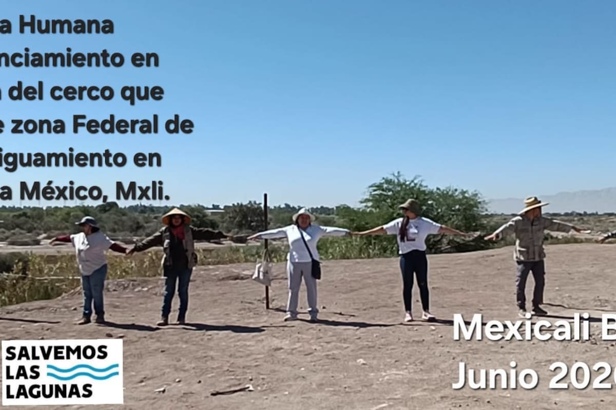 Activistas de “Salvemos las Lagunas” denuncian invasión en la Laguna México ante la aparición de un cerco de púas