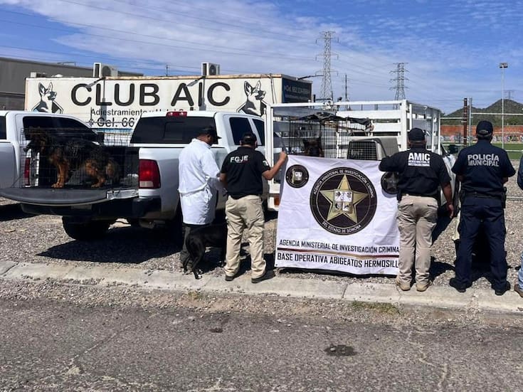 Rescatan a 30 perros tras cateo por presunto maltrato animal en Hermosillo