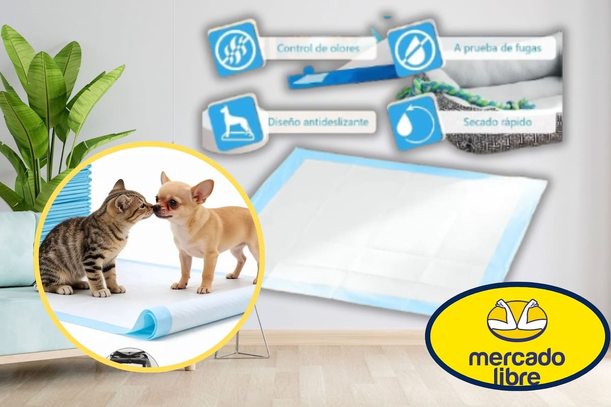 Mercado Libre rebaja 36% los pañales entrenadores para mascotas de la tienda oficial Mayana y esto es lo que debes saber sobre el costo de envío gratuito y sus 6 capas de absorción