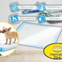 Mercado Libre rebaja 36% los pañales entrenadores para mascotas de la tienda oficial Mayana y esto es lo que debes saber sobre el costo de envío gratuito y sus 6 capas de absorción