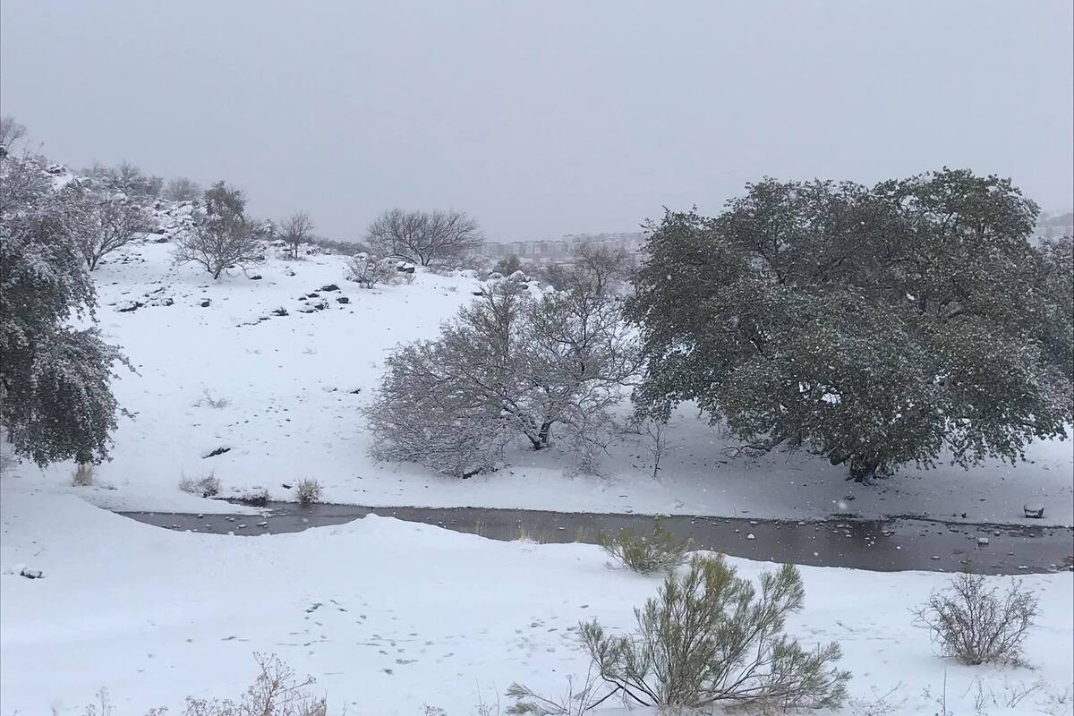 Frente frío y masa polar mantendrá bajas temperaturas en San Valentín; podría nevar