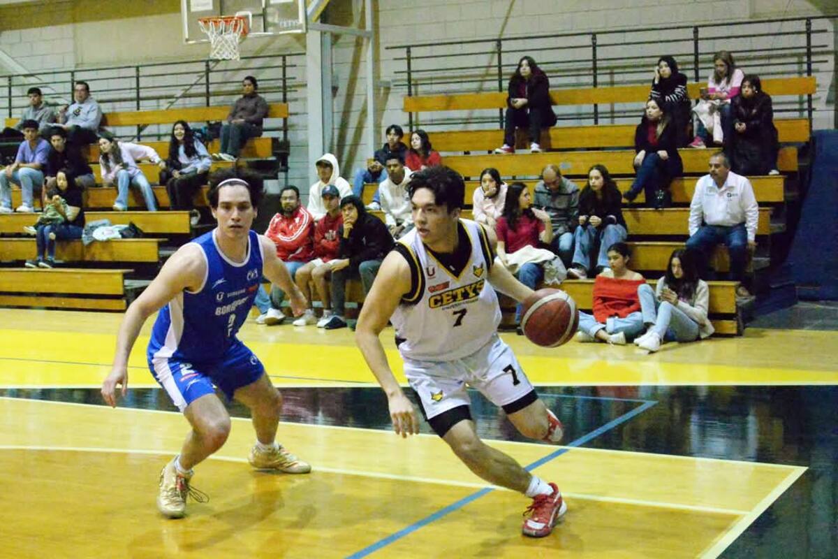 Zorros volvió a dividir triunfos en liga ABE