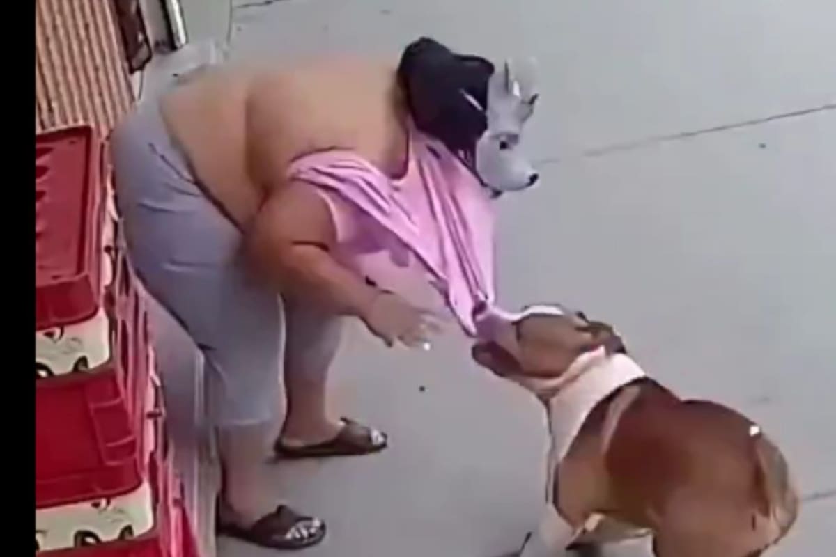 Joven therian vive momento de terror tras ser embestida por un pitbull, todo queda grabado en video